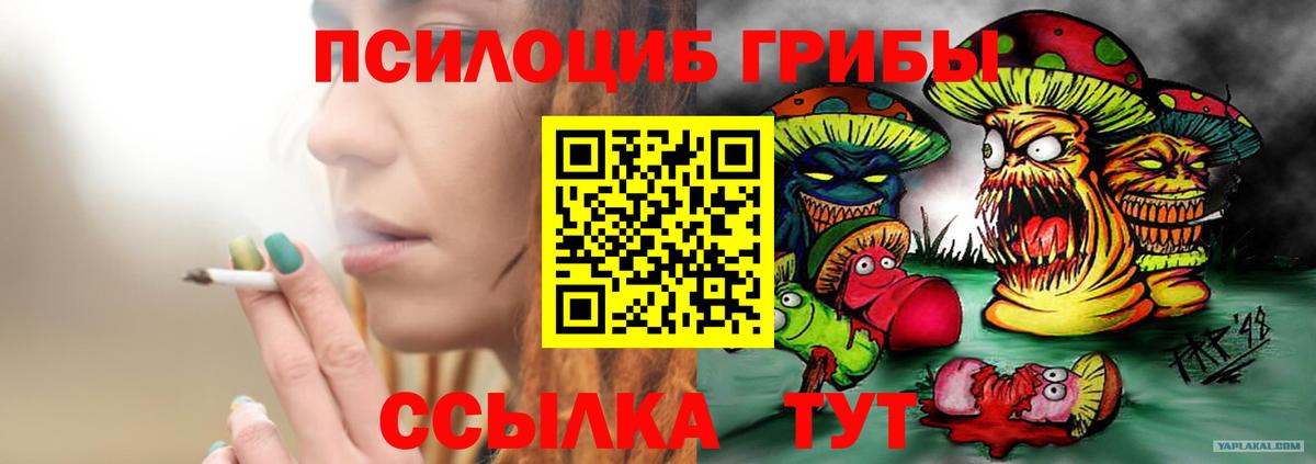 Галлюциногенные грибы GOLDEN TEACHER  Псилоцибиновые грибы Magic Shrooms  Нефтекумск  Вход с VPN 